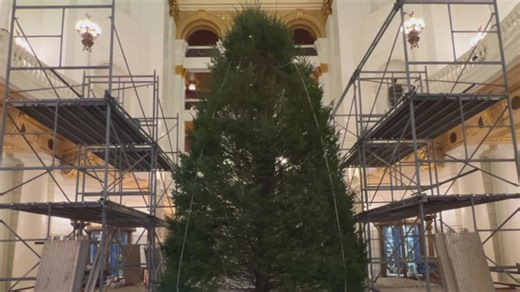Pa. Capitol receives Christmas tree