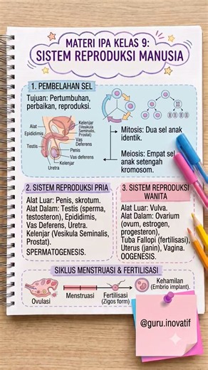 Materi IPA Kelas 9 SMP/MTs | Sistem Reproduksi Manusia #pendidikan #science