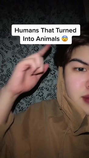 DiscoveryJoe™ on TikTok