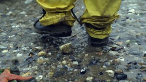 LP Manifiesto LOGO ENG