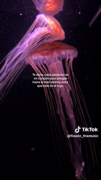 Sanar Corazones: Dedica Amor y Refugio a Tu Pareja