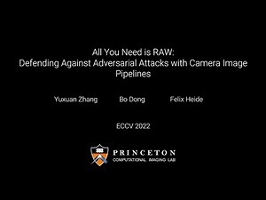 All You Need is RAW: Defending Against Adversarial Attacks with Camera Image Pipelines