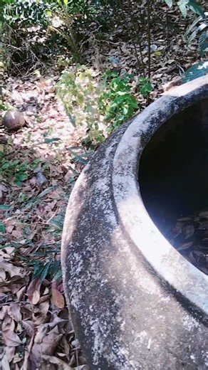 វីដេអូ​របស់ Go Sas (@go.sas3) ជាមួយ សំឡេងដើម - Go Sas