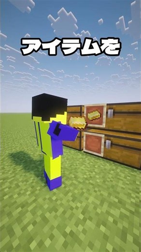 Which Storage Method Do You Prefer? #Minecraft