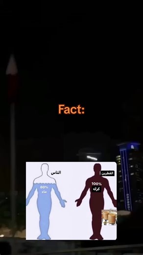 Understanding Body Composition: 80% vs 20% Explained