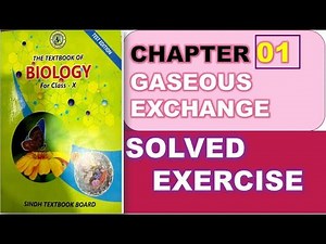 Chapter 1 | Gaseous Exchange | Biology | Class 10 | Sindh Textbook Board