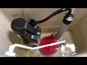 Toilet Fill and Flush Valves Replacement