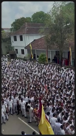 Battle of the Maroons - College Flash Mob at Ananda College 🤎💛✨ Bathiya and Santhush (BNS) Sarith and Surith Infinity #anandacollage #flashmob2025