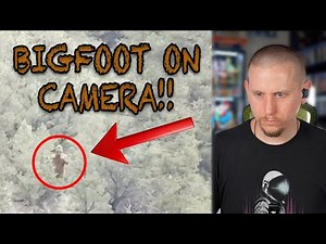 5 Cryptid Clips Featuring Bigfoot, Skinwalkers & More!