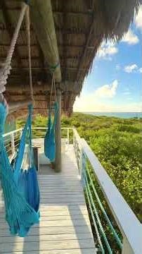 Is this the most underrated island in the Caribbean? #anegada #bvi #travelvlog