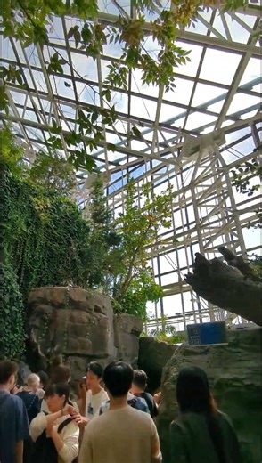 大阪 海遊館 【2023/10/19】