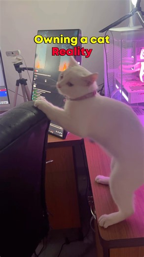 Need a new gaming chair😭