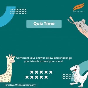 16K views |  Test your animal knowledge with our fun quiz!  Can you guess which animal is the fastest land mammal? Comment your answer below and challenge your friends to beat your score!  #animalquiz #TestYourKnowledge | Himalaya Companion Care | Facebook