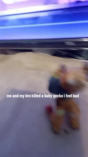 alpha sigma boi on TikTok