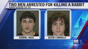 Two men arrested for allegedly killing pet rabbit in Westfield