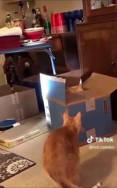 ISD Comiks на TikTok