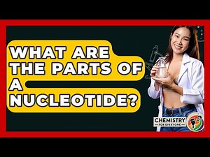 What Are The Parts Of A Nucleotide? - Chemistry For Everyone