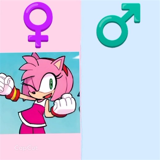 💙boys vs girls🩷#sonic#amy#tails#cream#jet#wave#silver#blaze#shadow#mariarobotnik#knuckles#rouge#edit