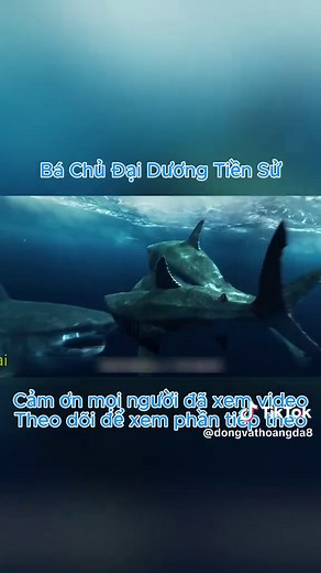 Phần 30 | Bá chủ đại dương thời kì tiền sử #dongvathoangda #thegioidongvat #fyp #xuhuong #thinhhanh