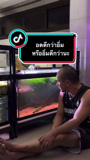 เลี้ยงปลาให้อด หรือจัดให้อิ่มเลย แบบไหนเหมาะสุด #treebreak #เลี้ยงปลา #ปลาช่อนสวยงาม #อาหารปลา #อุปกรณ์เลี้ยงปลา