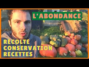 Great harvest of SQUASH! How to STORE them? A tempting recipe!