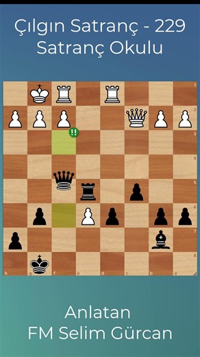 CRAZY CHESS - 229