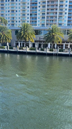 Sunday Funday hits different on the water 🚤☀️ Skip the traffic, catch the breeze, and turn the ride into part of the fun. Our water taxi isn’t just transportation, it’s front-row views, salty air, good vibes, and the easiest way to hop between waterfront spots without the stress. Whether you’re bar-hopping, beach-bound, or just cruising for the views, this is how Sundays are meant to feel. Why ride with us? 🌊 Scenic routes you won’t get on land ⏱️ Fast, easy, and stress-free 🍹 Perfect for gro