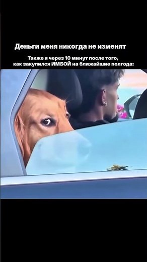 Видео от IMBA ENERGY