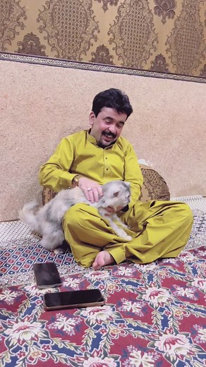 NUMBER DAAR-5 on TikTok