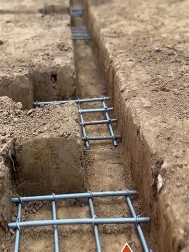 Survival Skills: Discover Essential Knowledge for Building