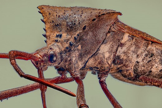 El Nikkor 50mm f/2.8N Enlarger Lens — Allan Walls Photography