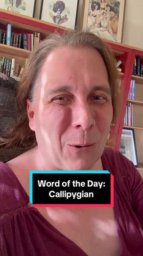 The word of the day is callipygian/callipygous! 🍑 #wordoftheday #words #wordtok #etymology #catch22