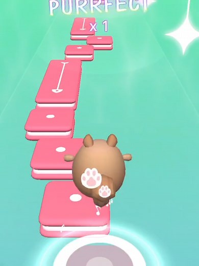 Caught in a cat bromance #ladygaga #cattok #edmcat #fypシ゚