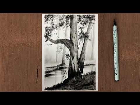 Charcoal Forest Drawing 🌳 | Realistic Tree Art with Pencil Shading | Easy Sketch Tutorial