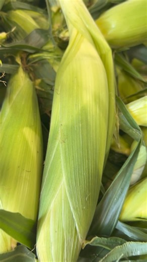 I spy with my little eye…. | LaRue's Farm Market