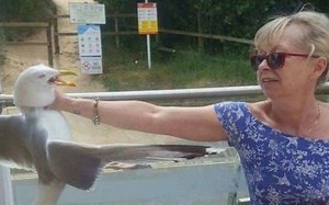 【FunnyPunk】消灭你的不开心！国外趣味视频集锦#312