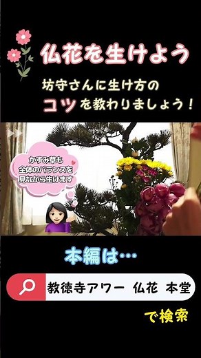仏花を生けよう【教徳寺ver.】坊守さんに生け方のコツを教わりましょう！ #shorts #flowers #仏花