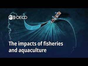 The Impacts of Fisheries and Aquaculture