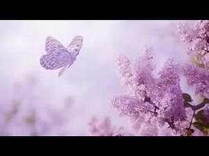 Música Celta de Flauta, Arpa y Piano: Música Relajante, Música para Meditar y Relajarse ☼2