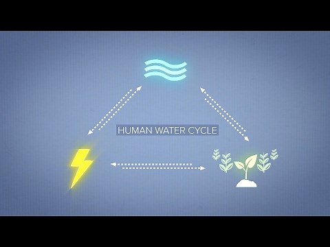 Human Water Cycle: Water, Food, & Energy