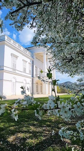 Virágba borult fák 🌸, madárdal 🎶 és langyos napsütés ☀️… Ez az, amit a tavaszban a legjobban szeretünk! Te melyiket várod jobban? 👍 – ha a tavasz a kedvenced ❤️ – ha inkább a nyarat imádod! Szavazz a hangulatodra, és ha tetszett, oszd meg másokkal is, hadd érezzék a tavasz illatát! #HétvégiProgram #TavasziProgramok #BajnaiKastély #KastélyLátogatás #TavasziKalandok #SzabadidősProgram #KastélyPark | Bajna, Sándor-Metternich-kastély hivatalos oldal
