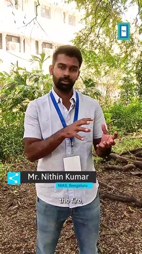 PALEOHER FOUNDATION on Instagram: "Fire, Forests and Humans | Reconstructing Paleo Fire History As part of the PALEOHER Scientist Series, we introduce Mr. Nithin Kumar, Research Scholar at NIAS, Bengaluru, working at the intersection of paleoecology, paleo-fire reconstruction, climate science, and human–environment interaction. His research focuses on understanding how fire, vegetation, climate, and humans have interacted during the Late Holocene. With a background in geology and a transition in