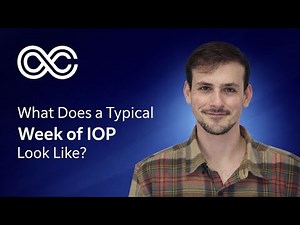 What does a typical week in the IOP look like?