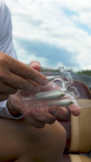 13K views · 128 reactions | The roll may be slow...but the bites are fast. Using the @mustadfishing Ball Jig Head, the Slow Roll Shiner enticed this Zander for a deep, secure bite.  | LIVETARGET Lures | Facebook