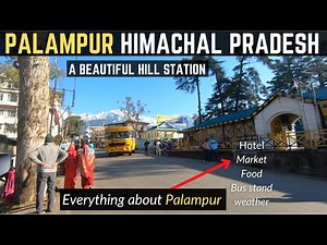 Palampur - Market ,Hotel, Bus stand, Food, Weather, public transport etc |Himachal best hill station