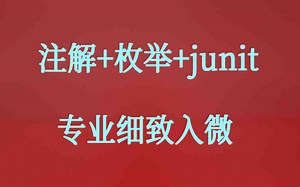 Lombok 反射/注解/枚举/junit视频课程