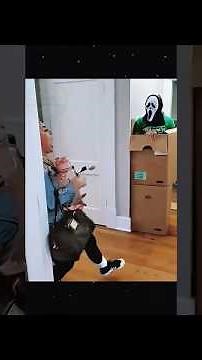 Scary Pranks, Epic Reactions & Funny Moments # /HiddenCamera #JumpScare #Pranks / CH-Scare Cam