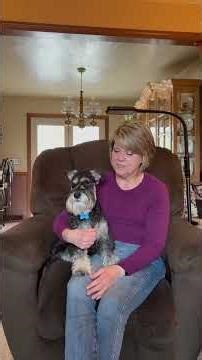 Sit Means Sit Pittsburgh Client Testimonial with Mini Schnauzer Puppy