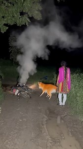 14M views · 78K reactions | On the deserted road at night, a smoky bike created a strange scene | #MysteryNight #StrangeScene #ViralReel Some AI visual effects used for creativity. Original video by me | | Devil's night with dharmendra | Facebook