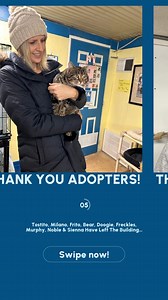 We Have Had A Very Very Busy Week And A Half, Just Trying To Catch Up 🐈‍⬛❤️🐾 Tostito, Milan, Frito, Sienna, Bear, Freckles, Doogie, Murphy & Noble Have All Left The Building… ❤️”LOVES ADOPTED”❤️ 🐾 A great big THSNK YOU!!! to all the amazing adopters who have opened their hearts and homes to our furry friends recently! Your kindness means the world to us and to the animals you’ve rescued. 💕 But our mission doesn't stop here! We still have so many wonderful pets eagerly waiting to find their f